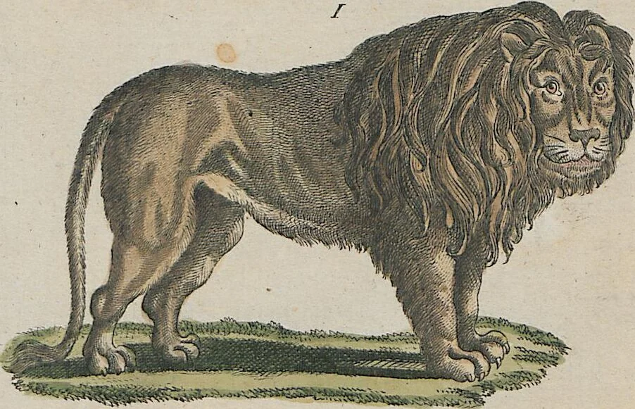 An illustration from (Band 1), 1801, leaf 69