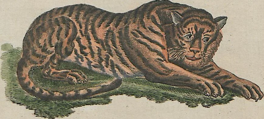 An illustration from (Band 1), 1801, leaf 69
