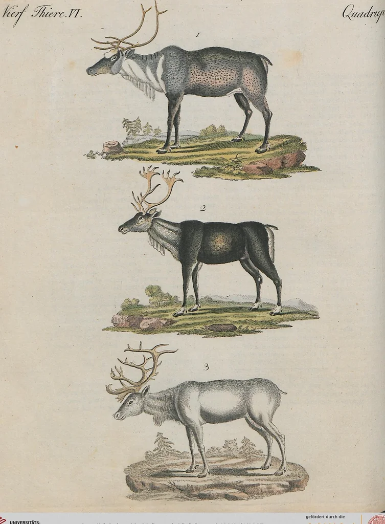 An illustration from (Band 1), 1801, leaf 87