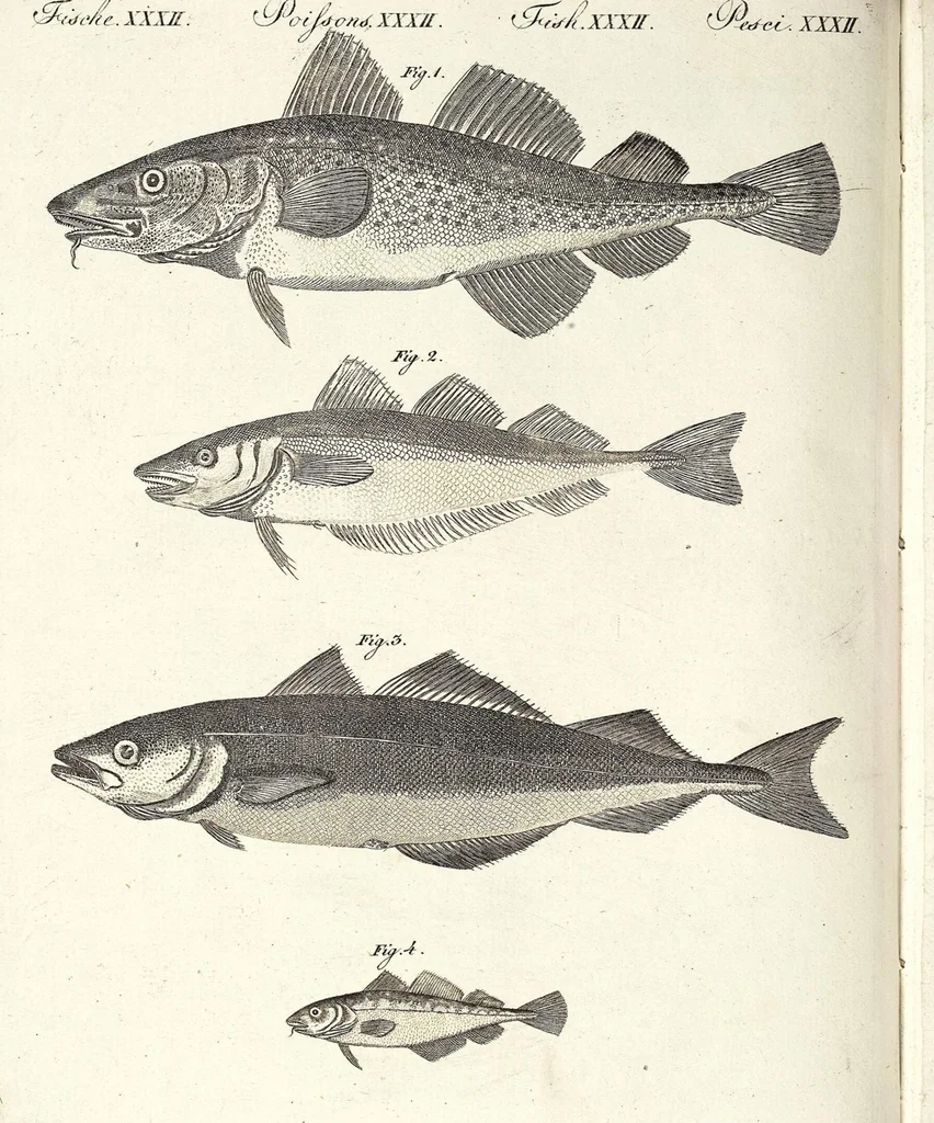 An illustration from (Band 4), 1802, leaf 108