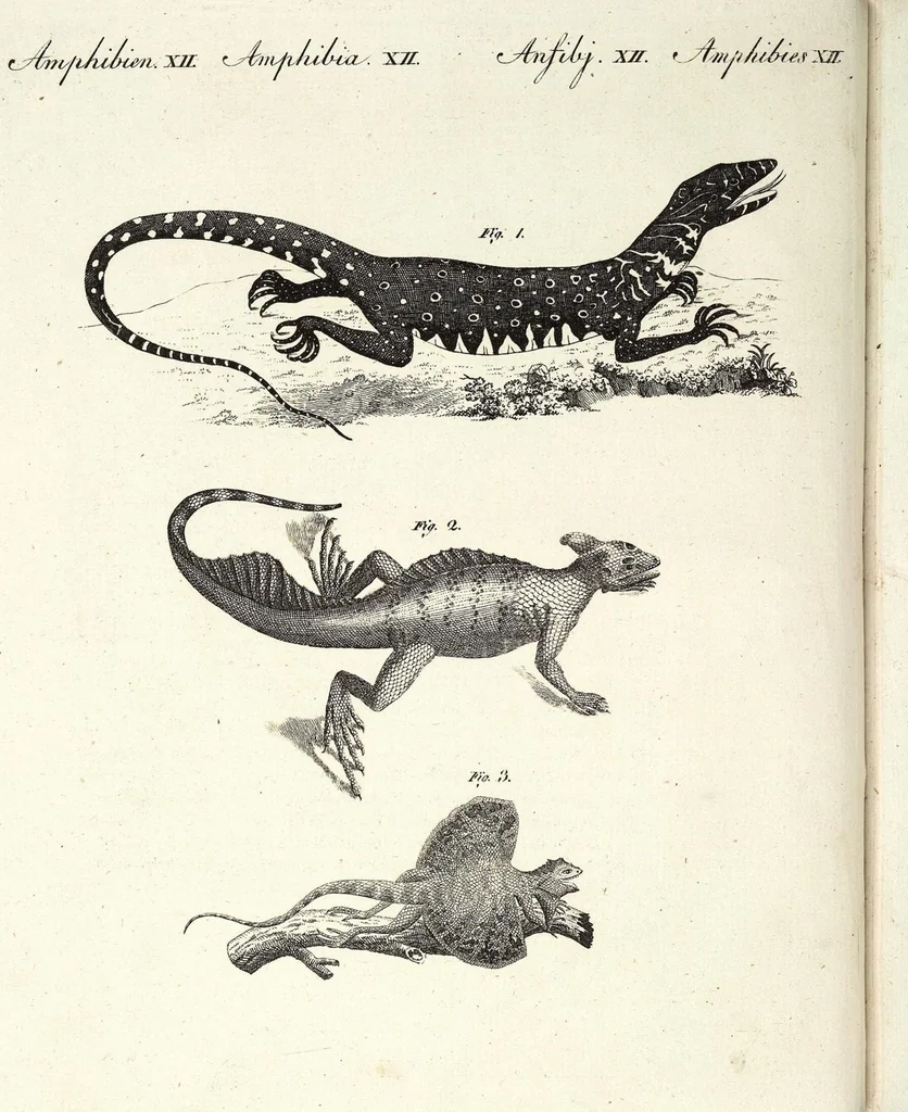 An illustration from (Band 4), 1802, leaf 13