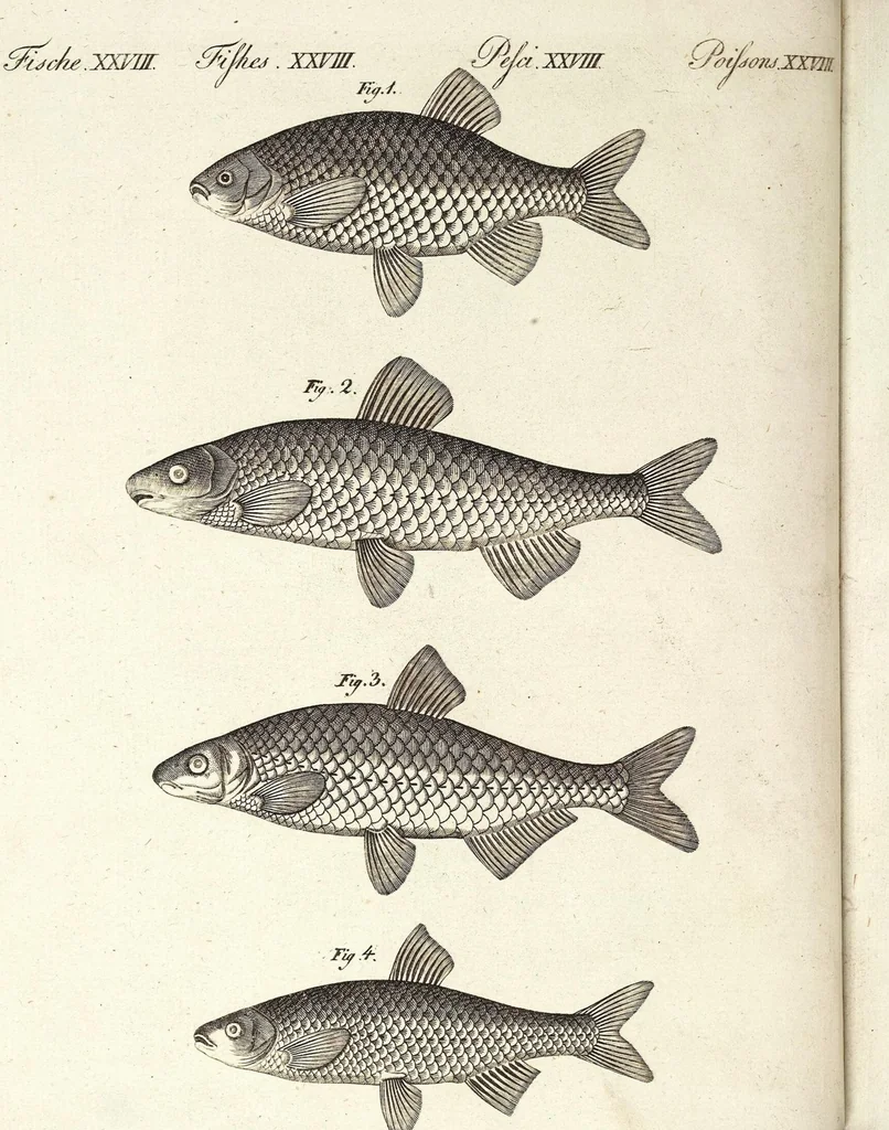 An illustration from (Band 4), 1802, leaf 18