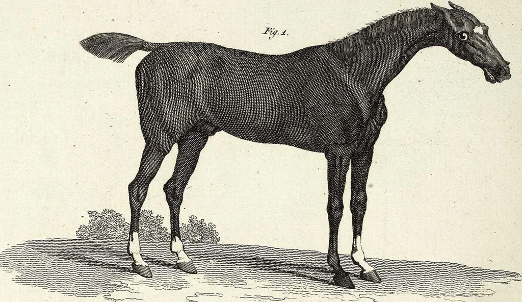 An illustration from (Band 4), 1802, leaf 198