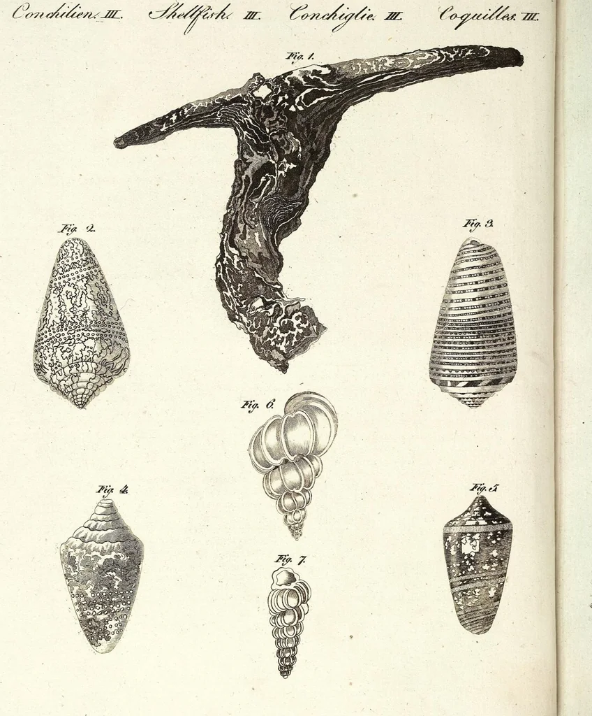 An illustration from (Band 4), 1802, leaf 23