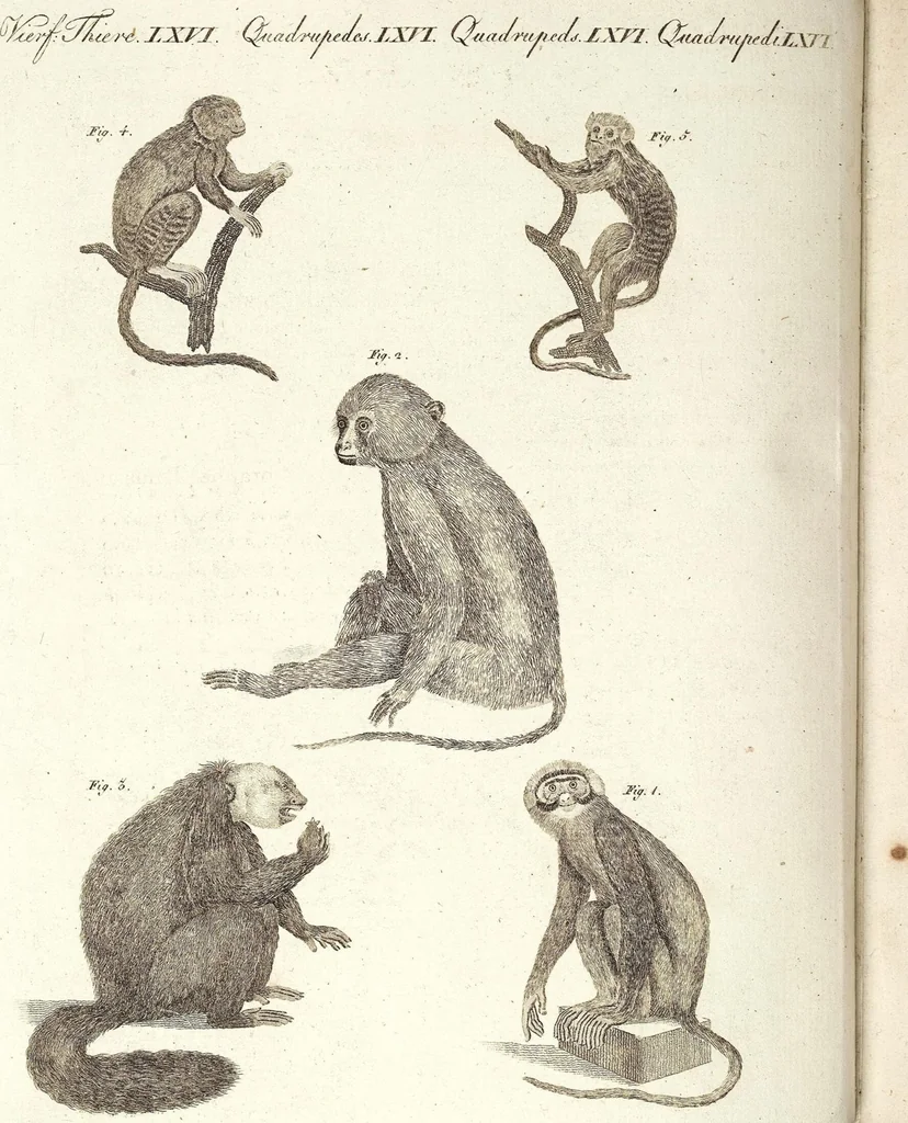 An illustration from (Band 4), 1802, leaf 431