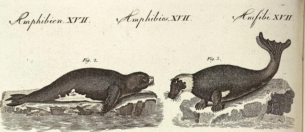 An illustration from (Band 4), 1802, leaf 461