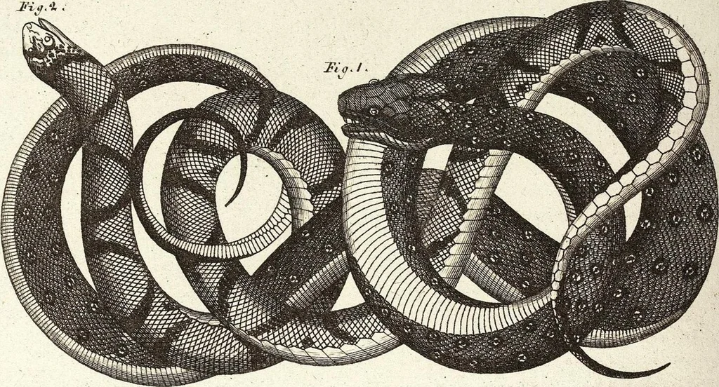 An illustration from (Band 4), 1802, leaf 466