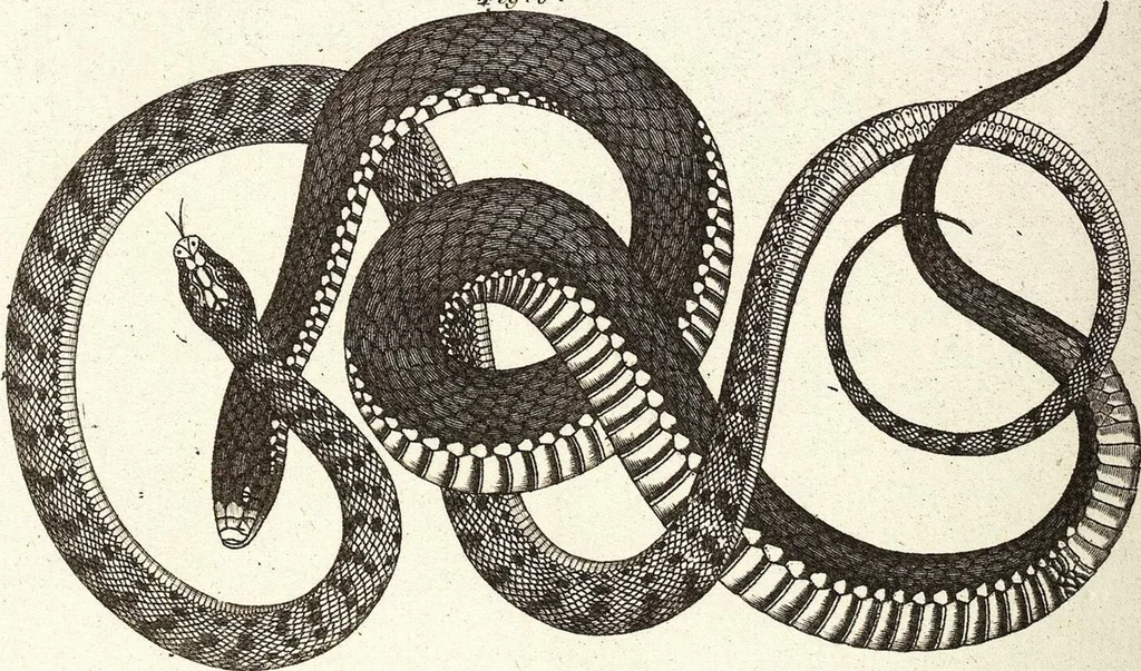 An illustration from (Band 4), 1802, leaf 466
