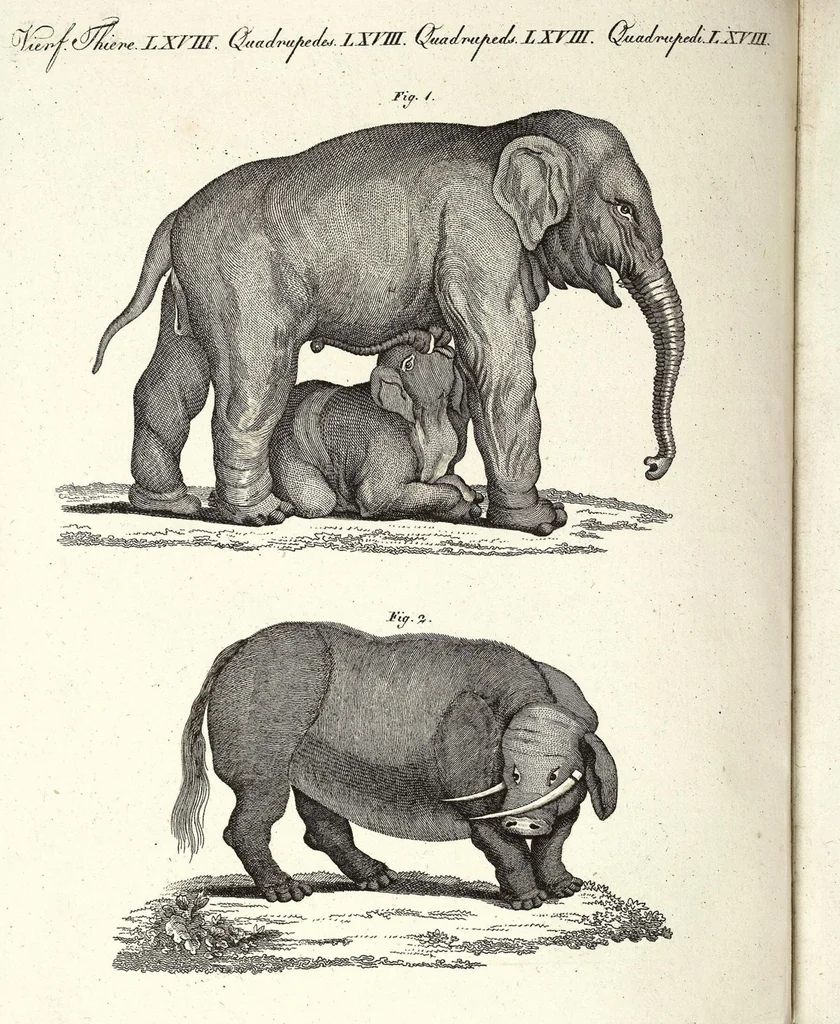 An illustration from (Band 4), 1802, leaf 476