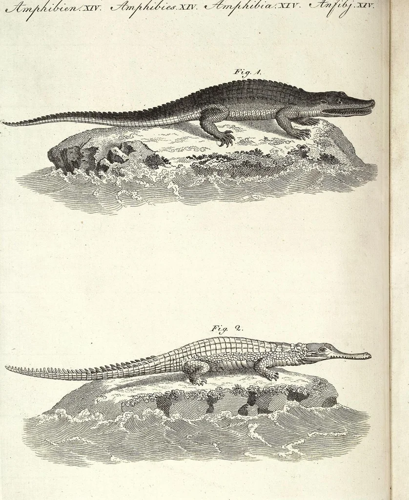 An illustration from (Band 4), 1802, leaf 68