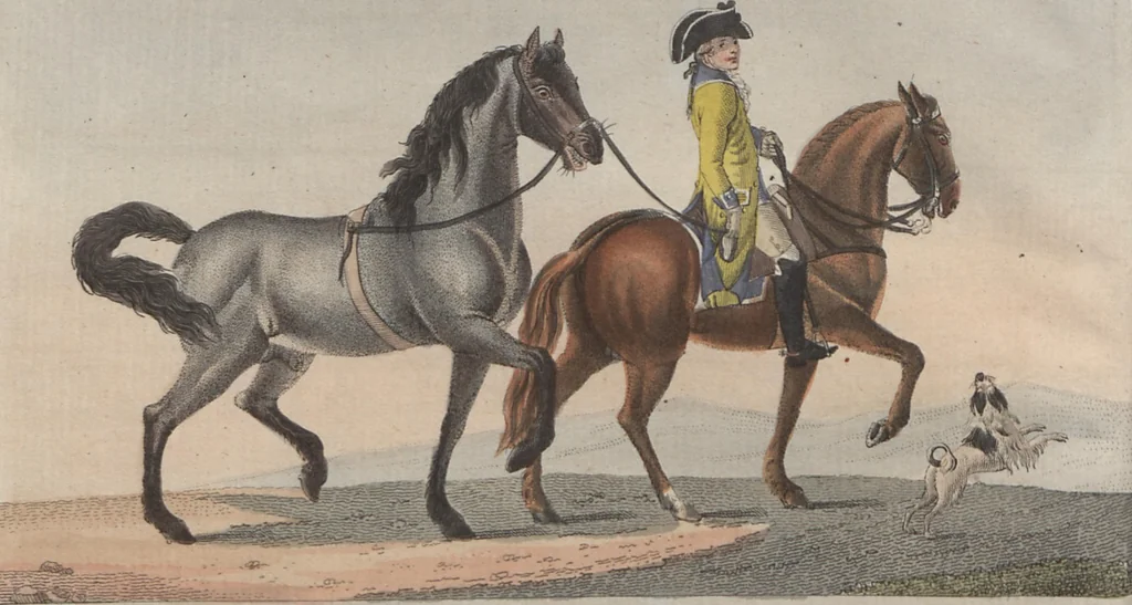 An illustration from (Band 6), 1807, leaf 123