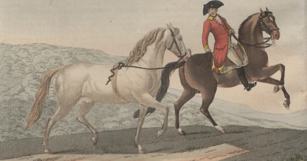 An illustration from (Band 6), 1807, leaf 123