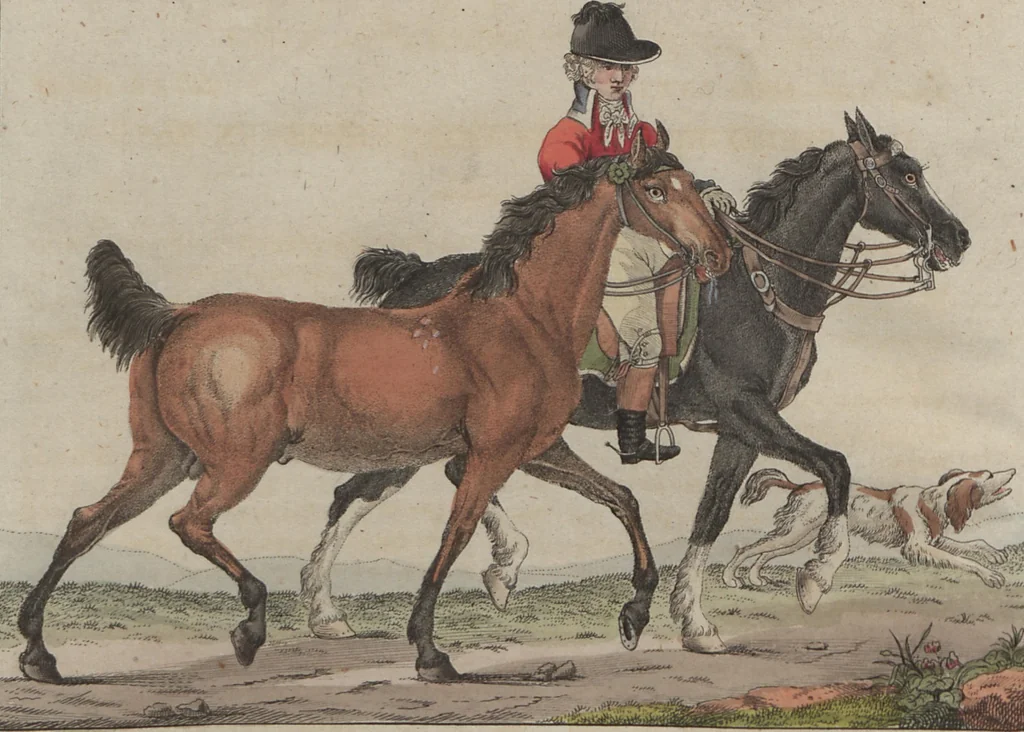An illustration from (Band 6), 1807, leaf 129