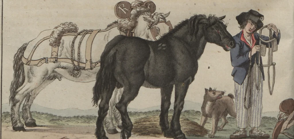 An illustration from (Band 6), 1807, leaf 129