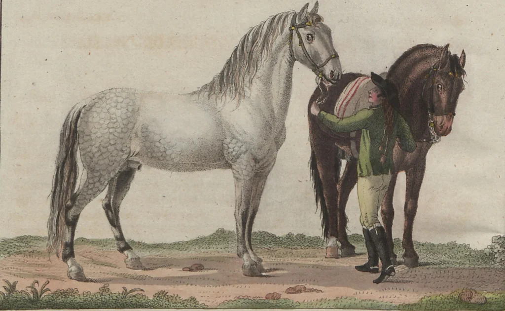 An illustration from (Band 6), 1807, leaf 135