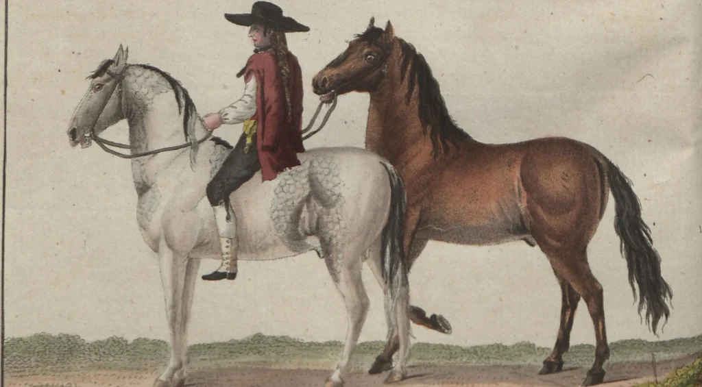 An illustration from (Band 6), 1807, leaf 135