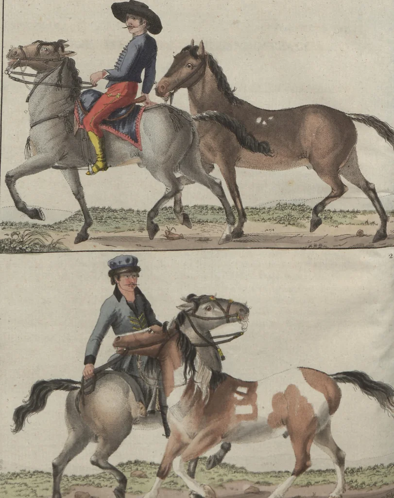 An illustration from (Band 6), 1807, leaf 153