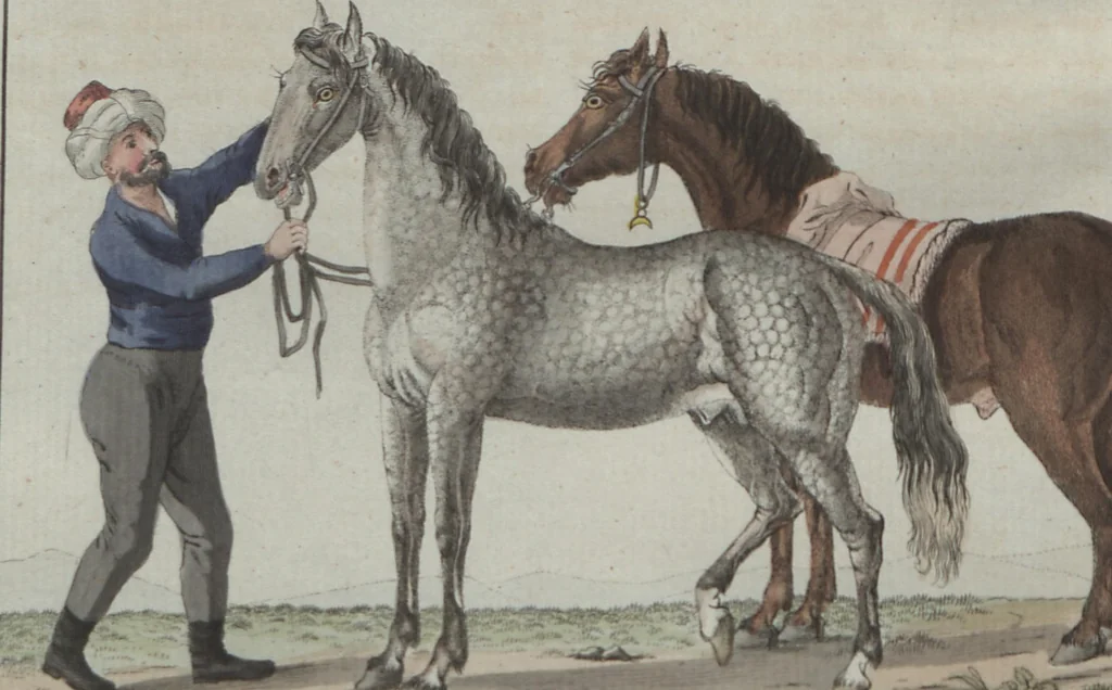 An illustration from (Band 6), 1807, leaf 165