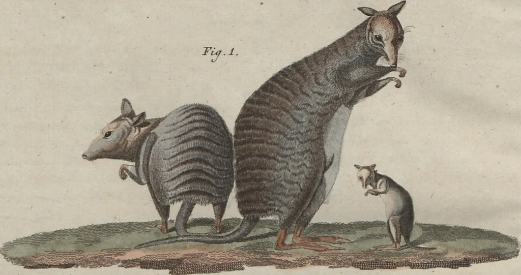 An illustration from (Band 6), 1807, leaf 183