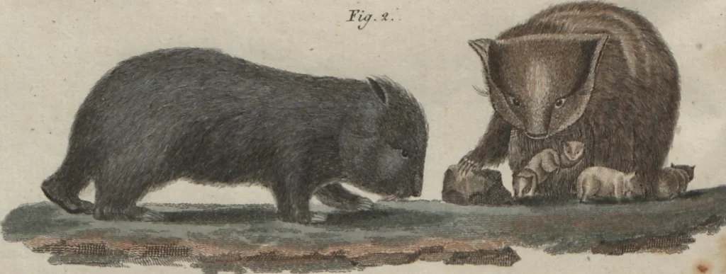 An illustration from (Band 6), 1807, leaf 183