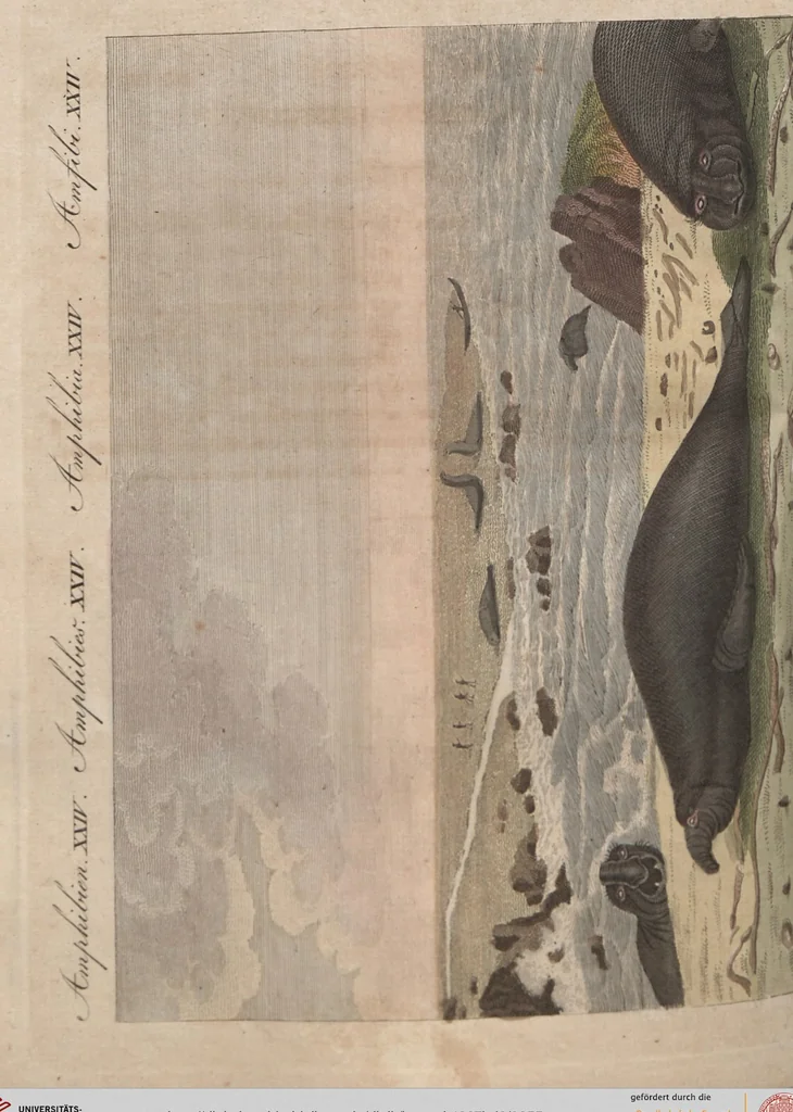 An illustration from (Band 6), 1807, leaf 255