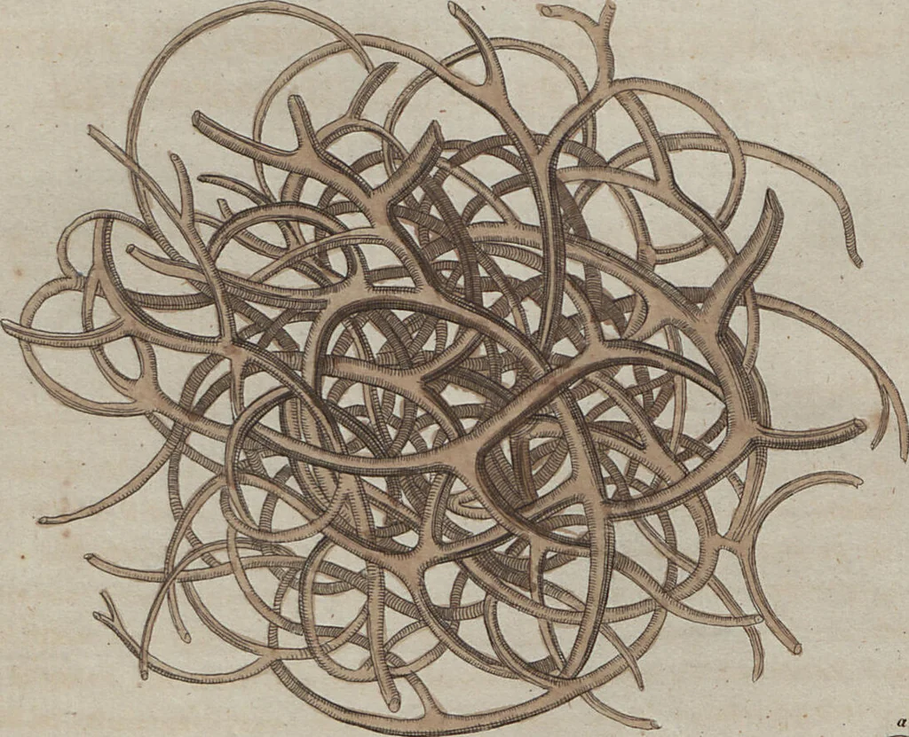 An illustration from (Band 6), 1807, leaf 27