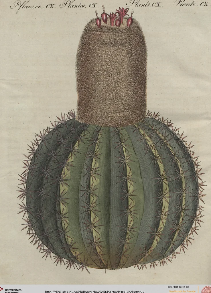 An illustration from (Band 6), 1807, leaf 327