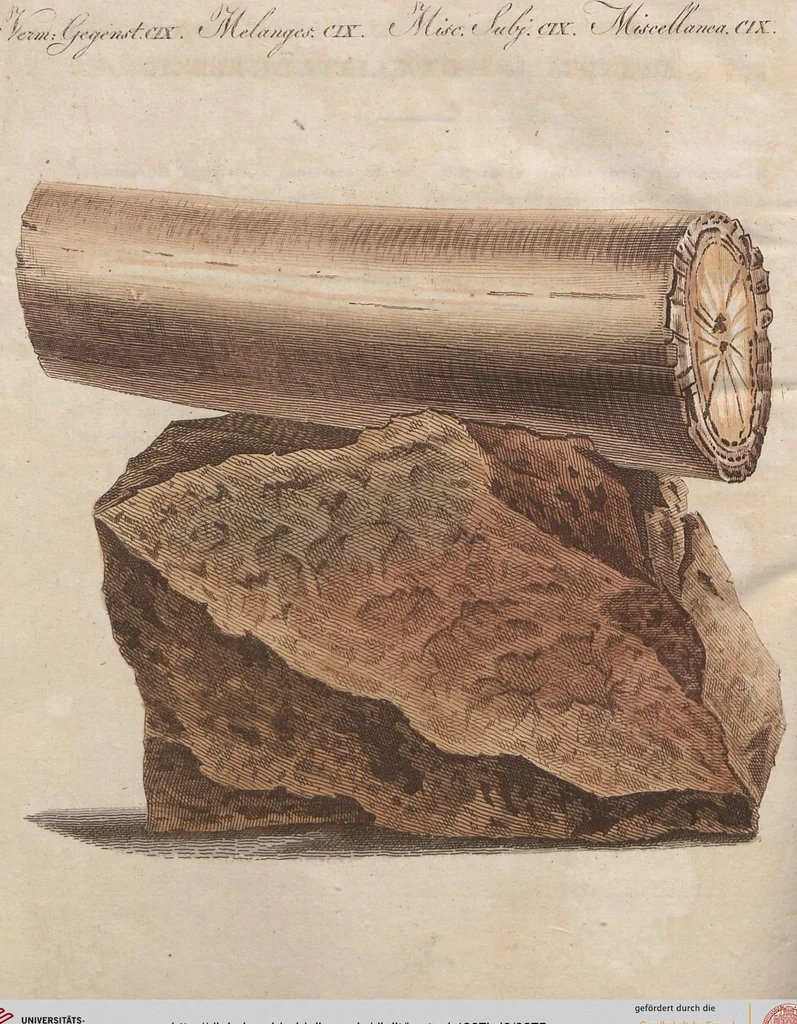 An illustration from (Band 6), 1807, leaf 375