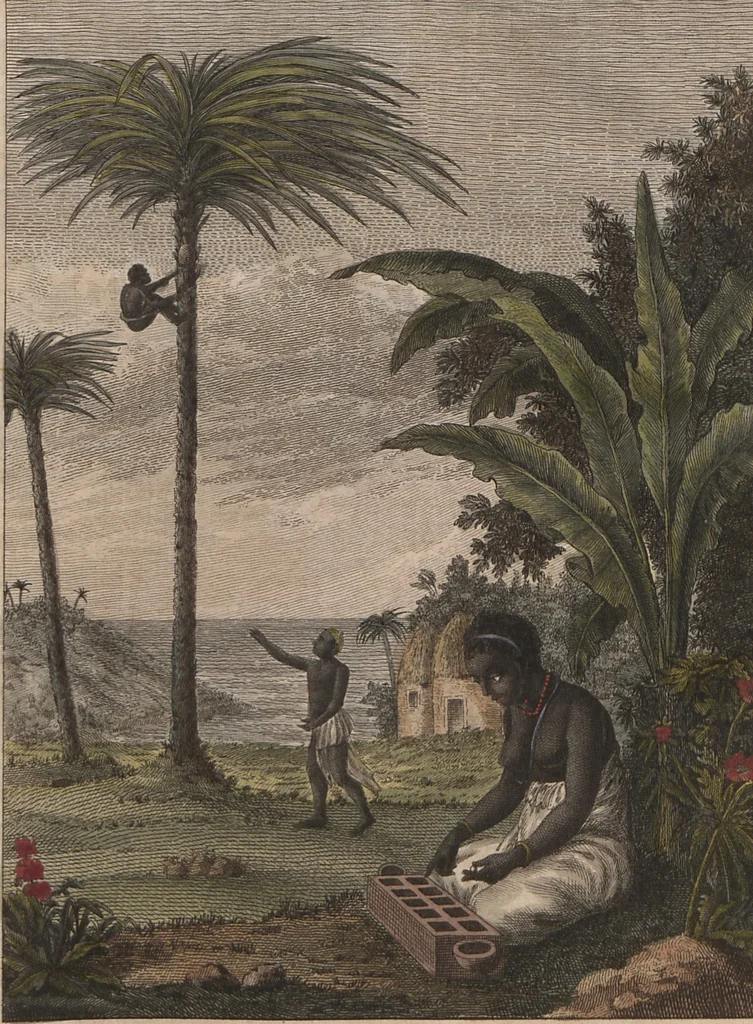 An illustration from (Band 6), 1807, leaf 405