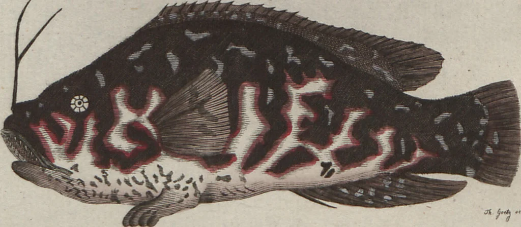 An illustration from (Band 6), 1807, leaf 45