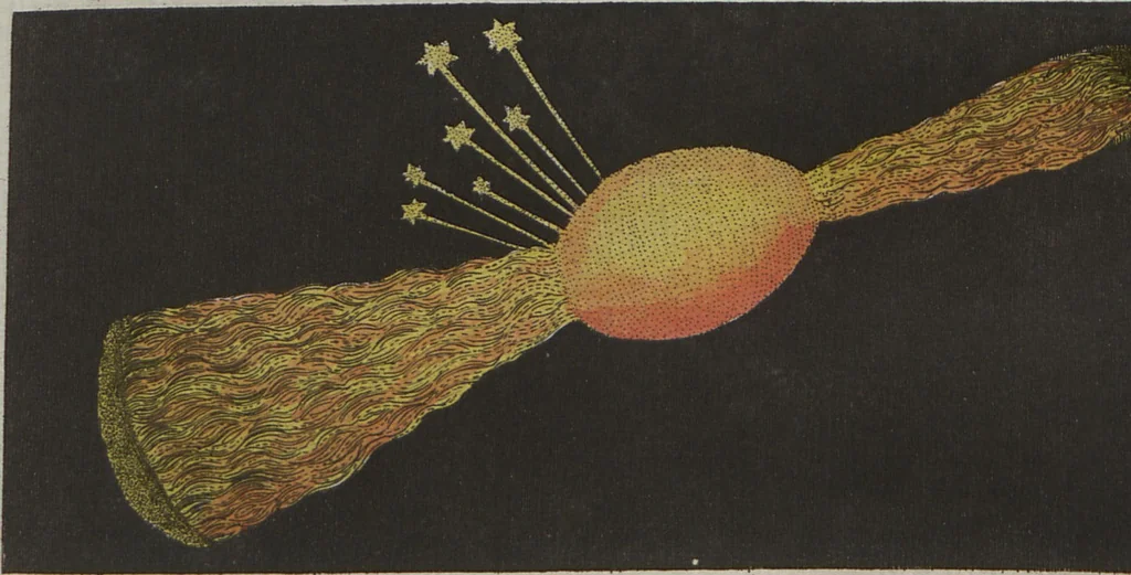An illustration from (Band 6), 1807, leaf 51