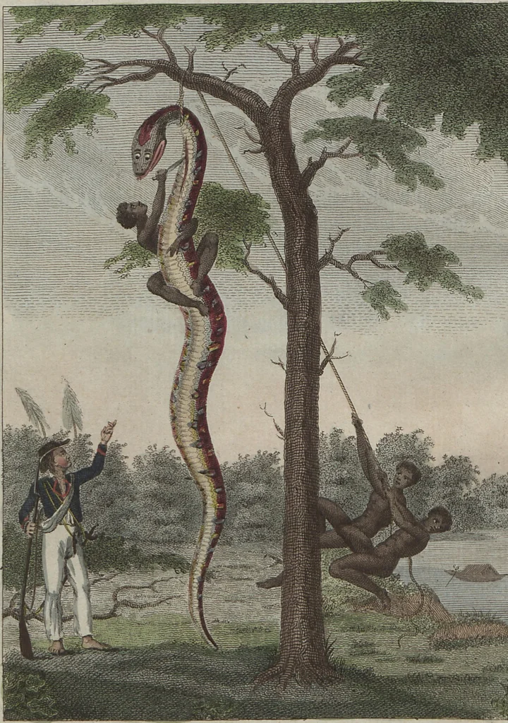 An illustration from (Band 6), 1807, leaf 69