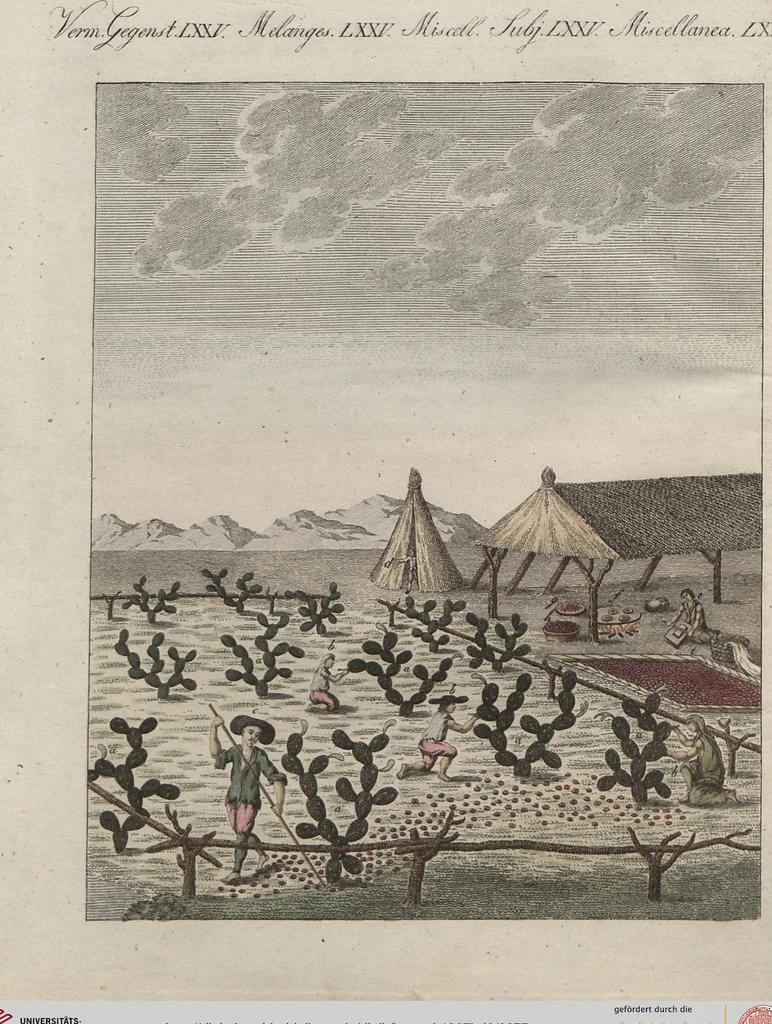 An illustration from (Band 6), 1807, leaf 75