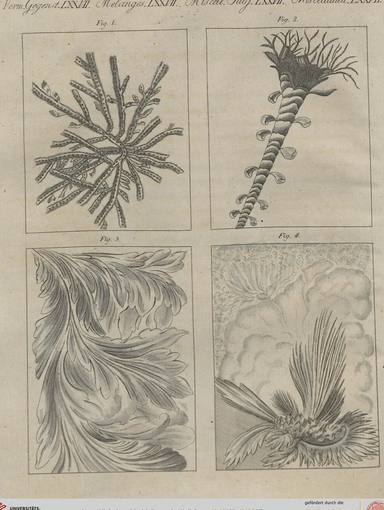 An illustration from (Band 6), 1807, leaf 87