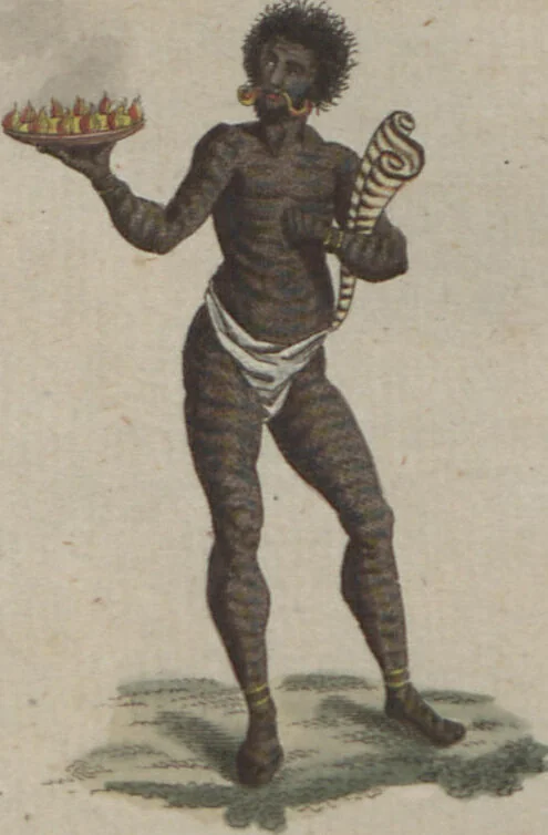 An illustration from (Band 6), 1807, leaf 99