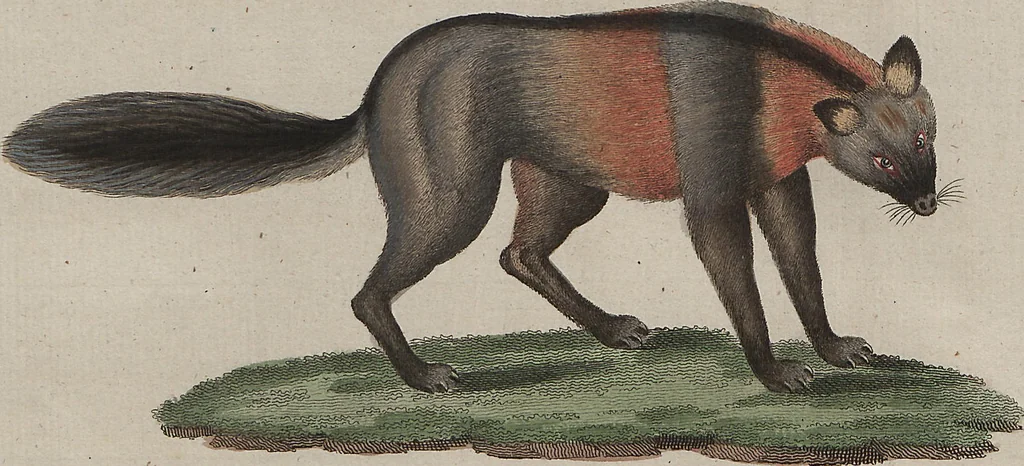 An illustration from (Band 7), 1810, leaf 110