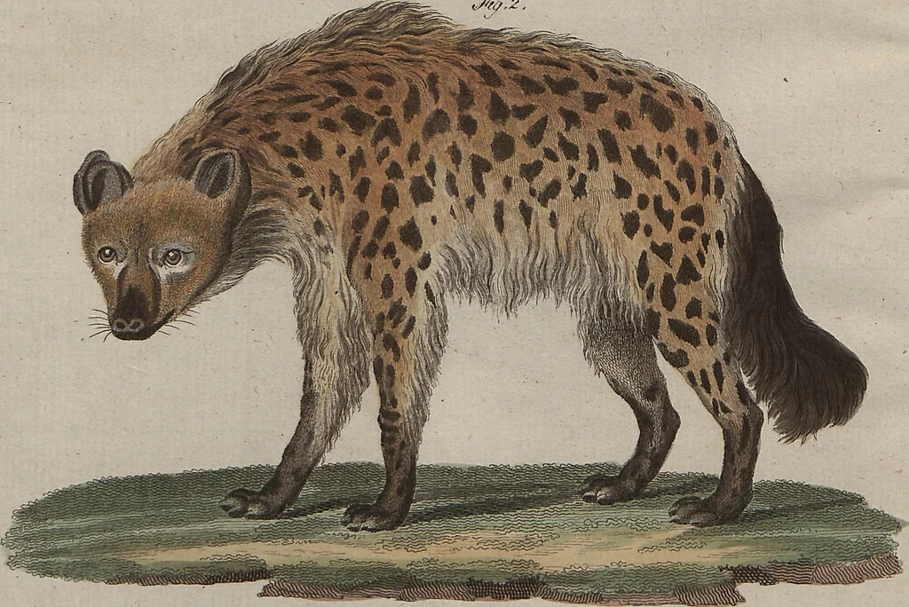 An illustration from (Band 7), 1810, leaf 110