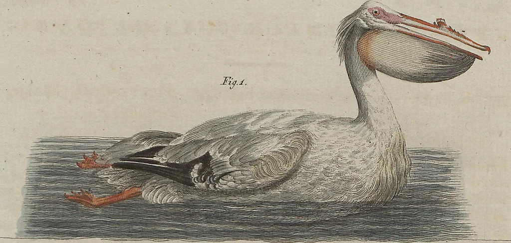 An illustration from (Band 7), 1810, leaf 116
