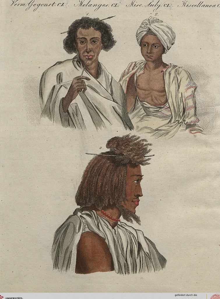 An illustration from (Band 7), 1810, leaf 146