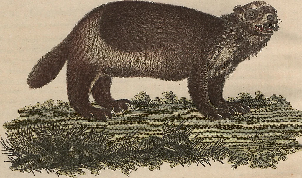 An illustration from (Band 7), 1810, leaf 179