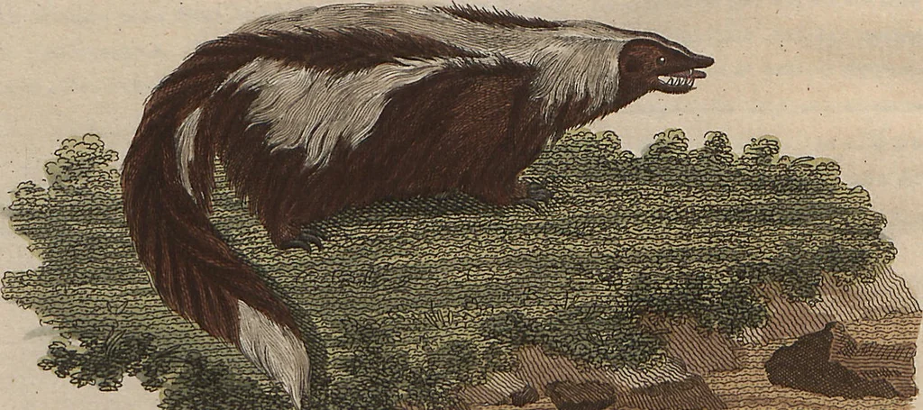 An illustration from (Band 7), 1810, leaf 179