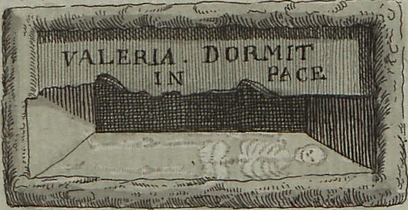An illustration from (Band 7), 1810, leaf 19