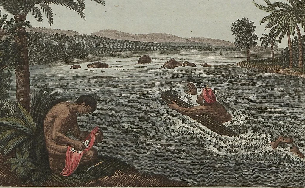 An illustration from (Band 7), 1810, leaf 218