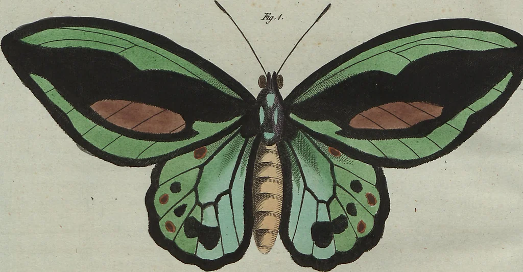 An illustration from (Band 7), 1810, leaf 230