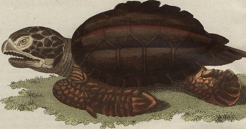 An illustration from (Band 7), 1810, leaf 284