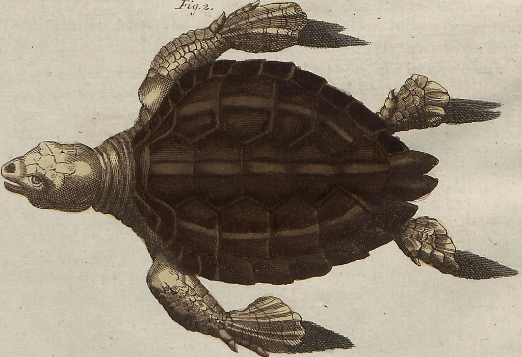 An illustration from (Band 7), 1810, leaf 284