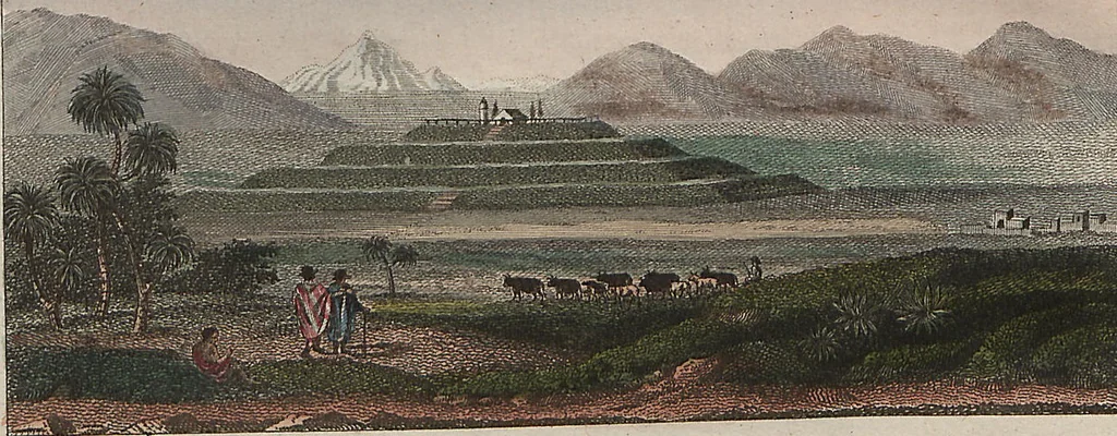 An illustration from (Band 7), 1810, leaf 311