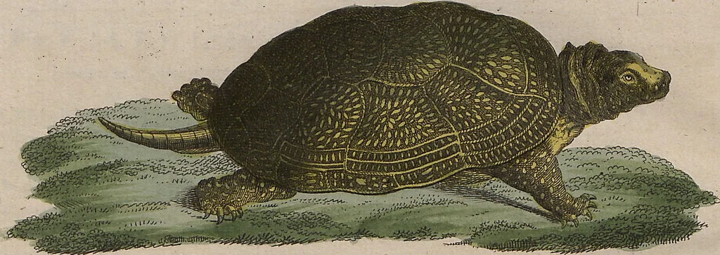 An illustration from (Band 7), 1810, leaf 320