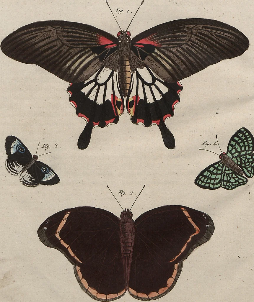An illustration from (Band 7), 1810, leaf 332