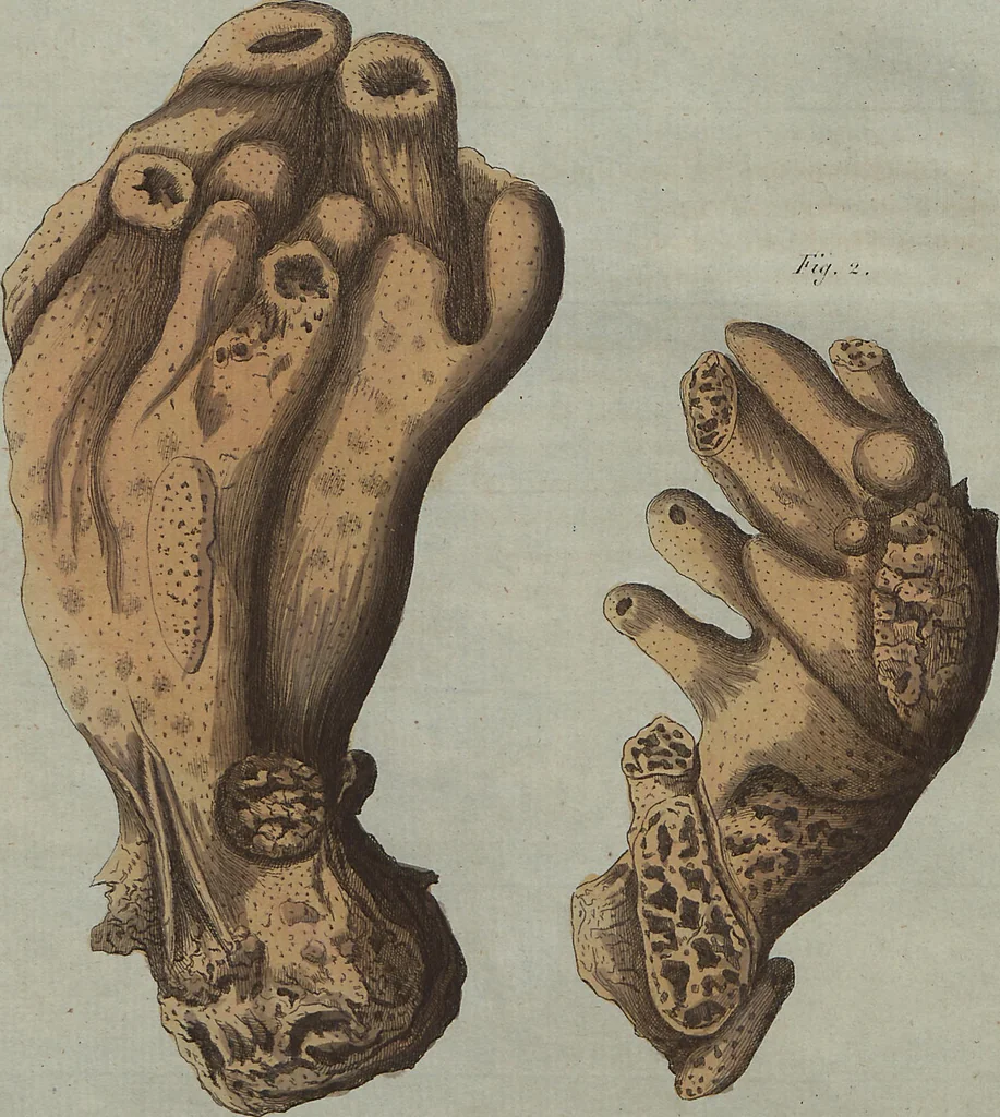 An illustration from (Band 7), 1810, leaf 39
